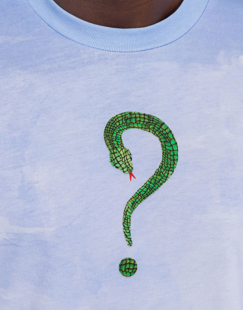 Lunar New Year organic jersey T-shirt Multicoloured Moschino 3