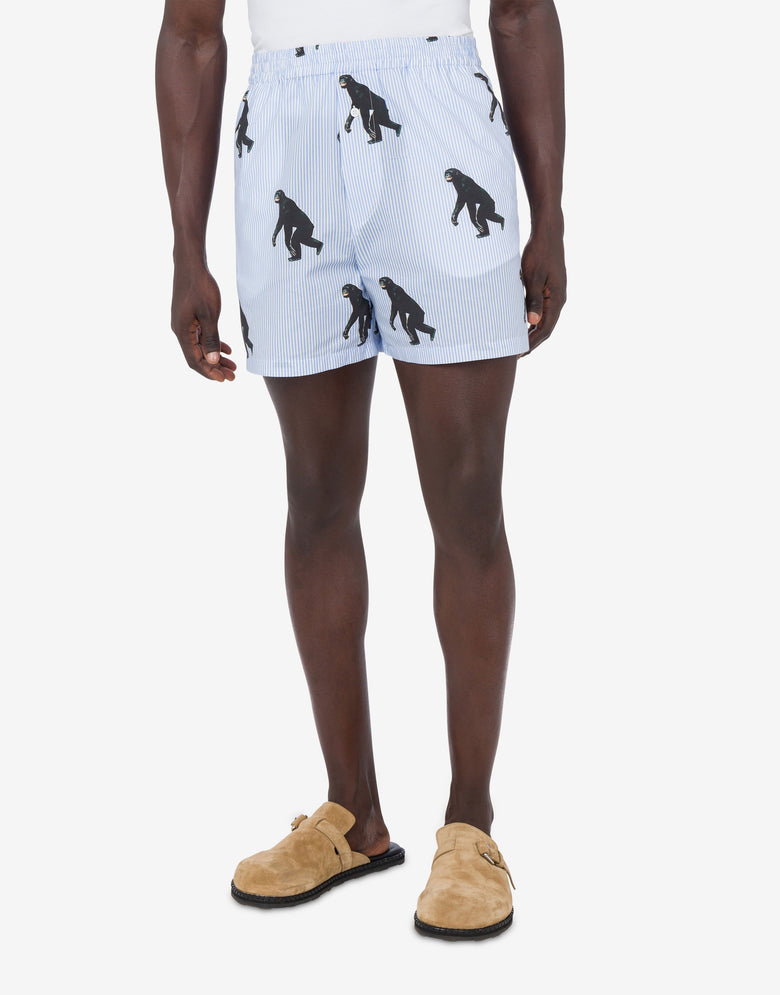 Bermuda en popeline rayée Allover Chimpanzee Bleu clair Moschino 1