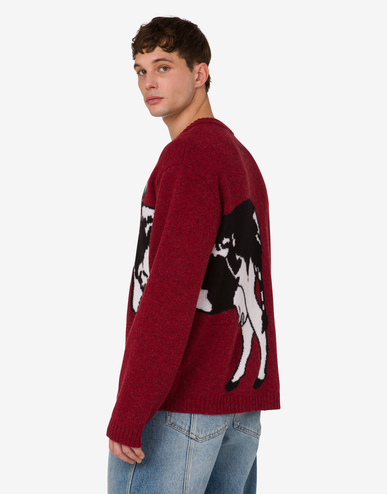 Shetland wool pullover Archive Bordeaux Moschino 3