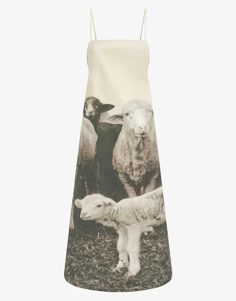 Vestido de gabardina de algodón estampado Gris Moschino 3