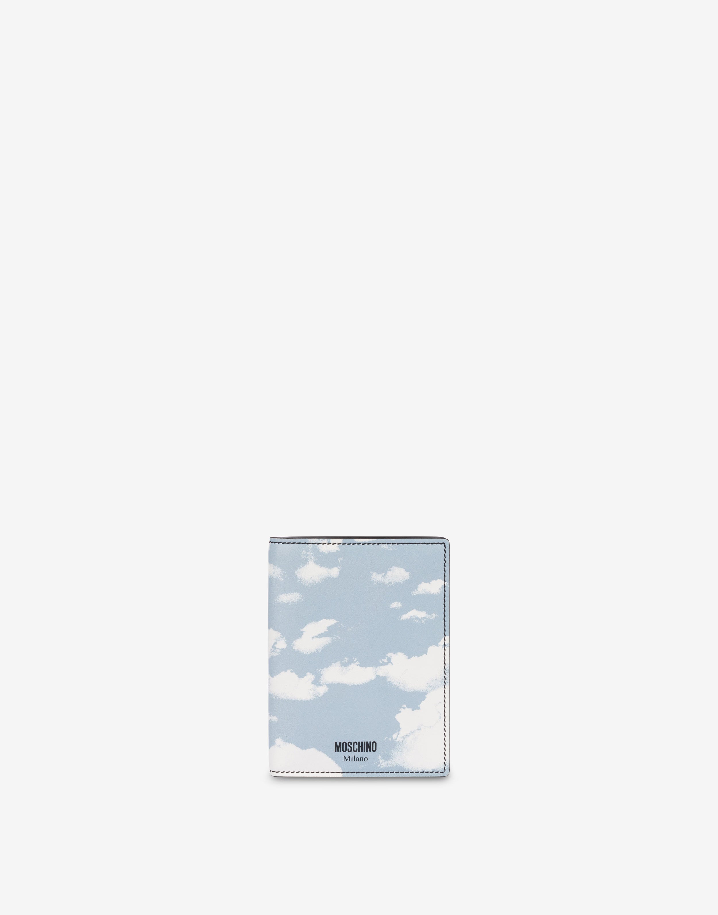 Archive Clouds passport holder