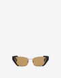 Cat-eye sunglasses
