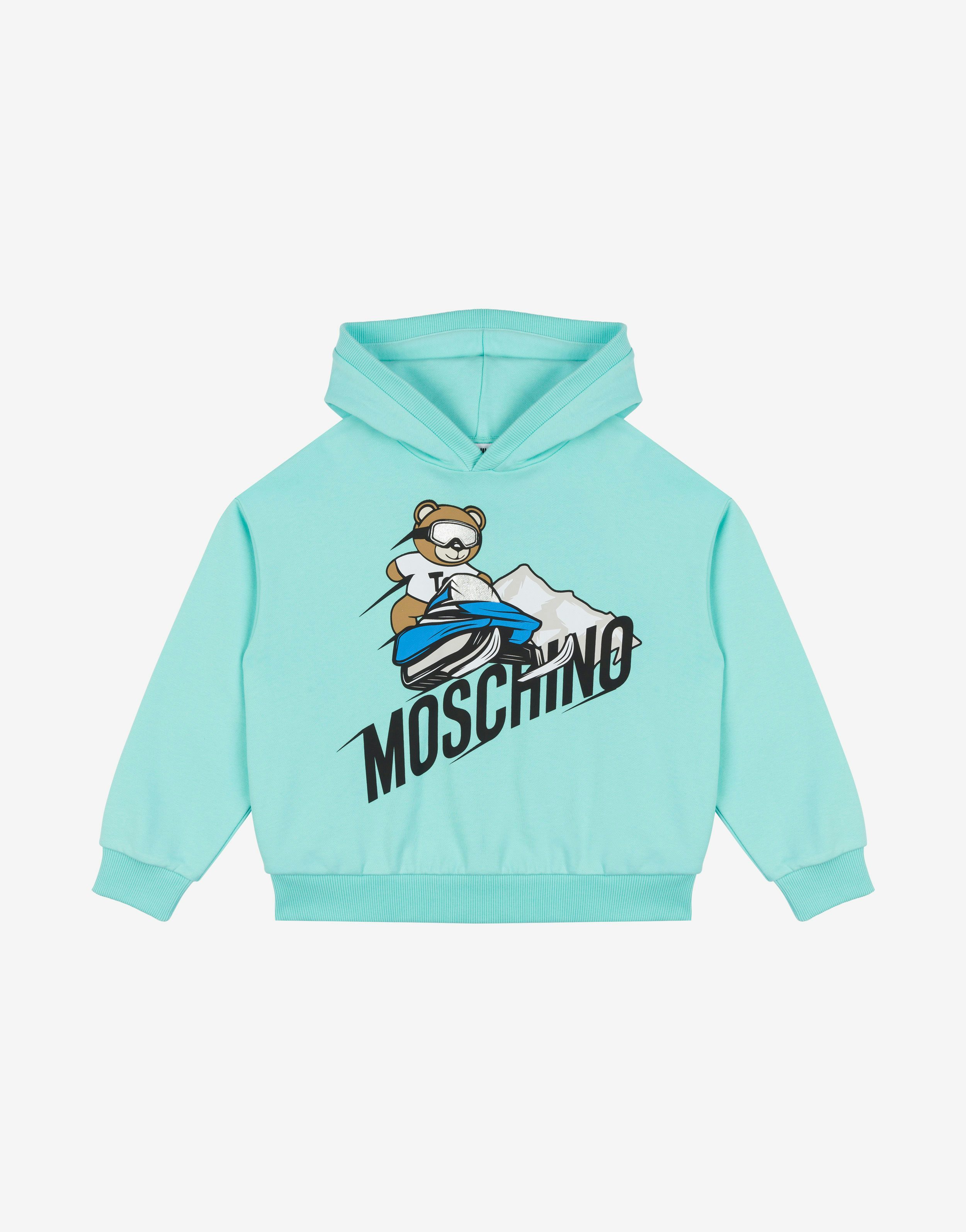 Mountain Teddy Bear Hoodie